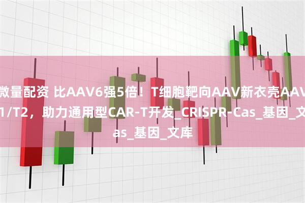 微量配资 比AAV6强5倍！T细胞靶向AAV新衣壳AAV‑T1/T2，助力通用型CAR‑T开发_CRISPR-Cas_基因_文库